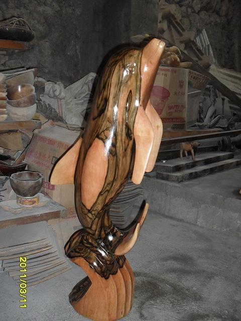 DOLPHIN 42 in.jpg